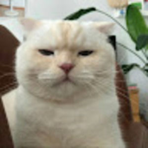 Meet your Posher, Annette